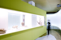 Showcase Design Neolithic